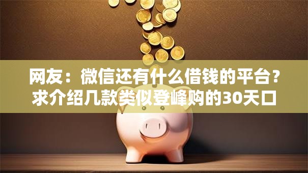 网友:微信还有什么借钱的平台?求介绍几款类似登峰购的30天口子 网友:微信还有什么借钱的平台?求介绍几款类似登峰购的30天口子