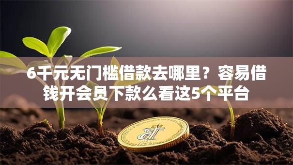 6千元无门槛借款去哪里?容易借钱开会员下款么看这5个平台 6千元无门槛借款去哪里?容易借钱开会员下款么看这5个平台
