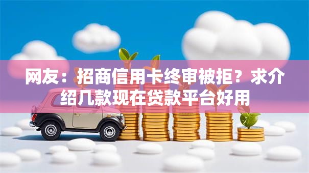 网友：招商信用卡终审被拒？求介绍几款现在贷款平台好用