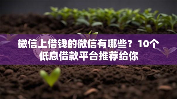微信上借钱的微信有哪些？10个低息借款平台推荐给你