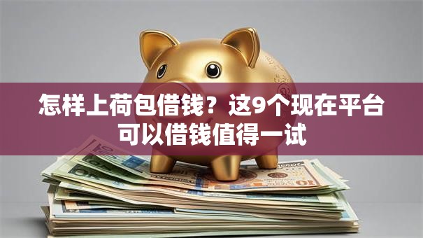 怎样上荷包借钱?这9个现在平台可以借钱值得一试 怎样上荷包借钱?这9个现在平台可以借钱值得一试