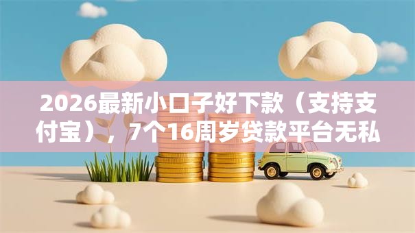 2026最新小口子好下款（支持支付宝），7个16周岁贷款平台无私分享