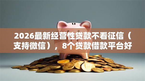 2026最新经营性贷款不看征信（支持微信），8个贷款借款平台好无私分享
