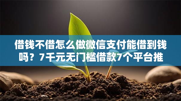 借钱不借怎么做微信支付能借到钱吗？7千元无门槛借款7个平台推荐