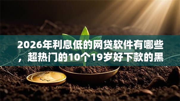 2026年利息低的网贷软件有哪些，超热门的10个19岁好下款的黑户借钱平台推荐