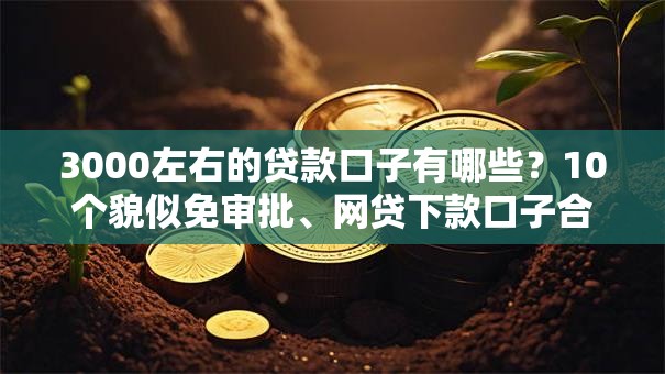 3000左右的贷款口子有哪些？10个貌似免审批、网贷下款口子合集