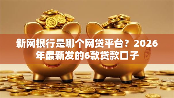 新网银行是哪个网贷平台？2026年最新发的6款贷款口子
