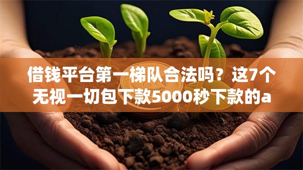 借钱平台第一梯队合法吗？这7个无视一切包下款5000秒下款的app值得一试