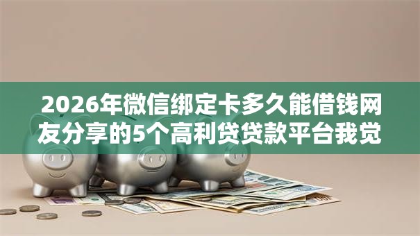 2026年微信绑定卡多久能借钱网友分享的5个高利贷贷款平台我觉得不错！
