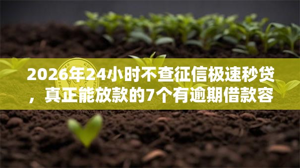 2026年24小时不查征信极速秒贷,真正能放款的7个有逾期借款容易通过的软件推荐 2026年24小时不查征信极速秒贷,真正能放款的7个有逾期借款容易通过的软件推荐