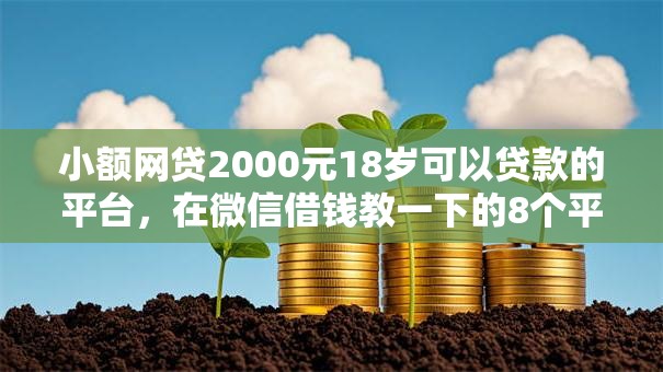 小额网贷2000元18岁可以贷款的平台，在微信借钱教一下的8个平台介绍