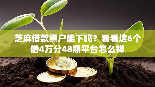 芝麻借款黑户能下吗？看看这6个借4万分48期平台怎么样