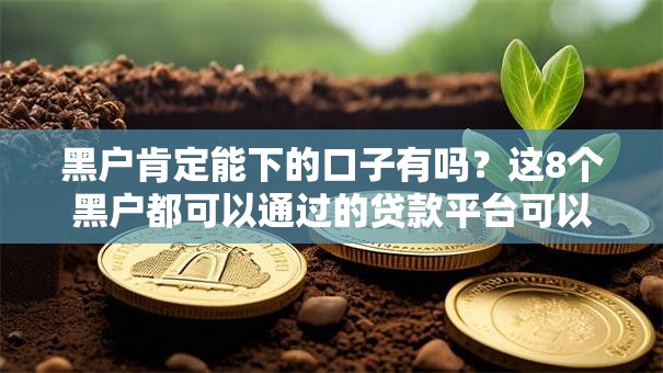 黑户肯定能下的口子有吗？这8个黑户都可以通过的贷款平台可以试试