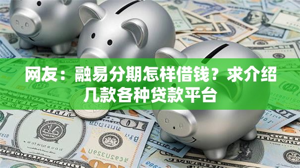 网友：融易分期怎样借钱？求介绍几款各种贷款平台