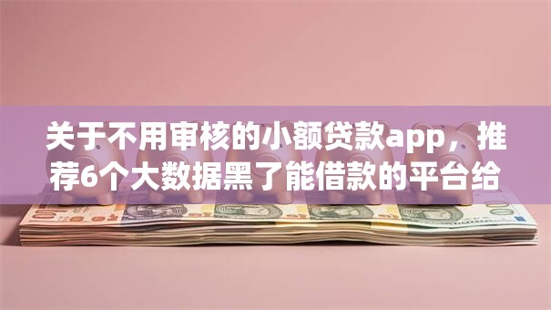 关于不用审核的小额贷款app，推荐6个大数据黑了能借款的平台给你