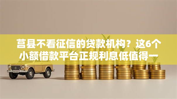 莒县不看征信的贷款机构?这6个小额借款平台正规利息低值得一试 莒县不看征信的贷款机构?这6个小额借款平台正规利息低值得一试
