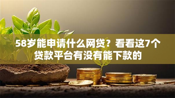 58岁能申请什么网贷？看看这7个贷款平台有没有能下款的
