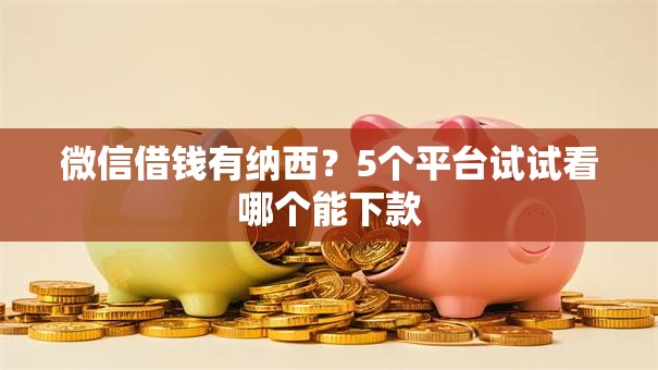 微信借钱有纳西？5个平台试试看哪个能下款