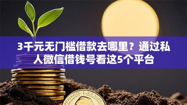 3千元无门槛借款去哪里？通过私人微信借钱号看这5个平台