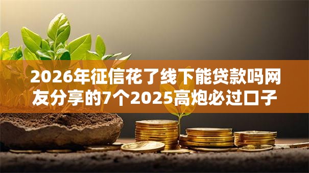 2026年征信花了线下能贷款吗网友分享的7个2025高炮必过口子秒下款我觉得不错！