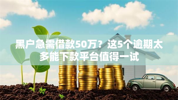 黑户急需借款50万？这5个逾期太多能下款平台值得一试