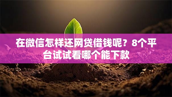 在微信怎样还网贷借钱呢?8个平台试试看哪个能下款 在微信怎样还网贷借钱呢?8个平台试试看哪个能下款