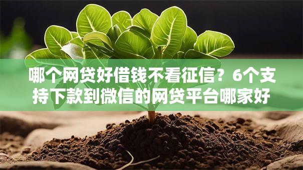 哪个网贷好借钱不看征信？6个支持下款到微信的网贷平台哪家好