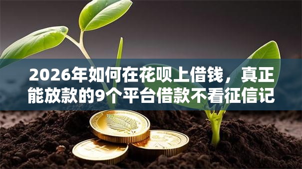 2026年如何在花呗上借钱，真正能放款的9个平台借款不看征信记录推荐