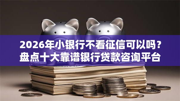 2026年小银行不看征信可以吗？盘点十大靠谱银行贷款咨询平台