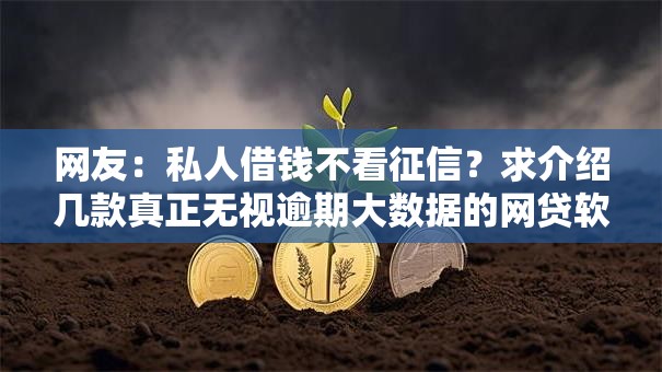 网友：私人借钱不看征信？求介绍几款真正无视逾期大数据的网贷软件
