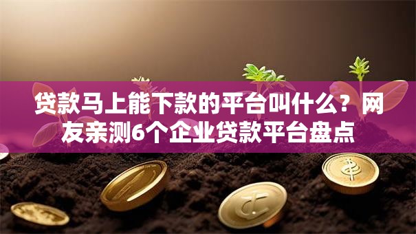 贷款马上能下款的平台叫什么？网友亲测6个企业贷款平台盘点