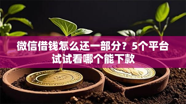 微信借钱怎么还一部分？5个平台试试看哪个能下款