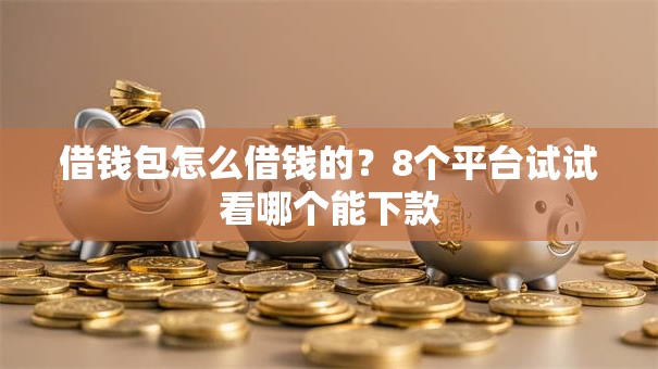 借钱包怎么借钱的？8个平台试试看哪个能下款