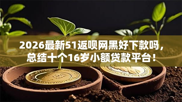 2026最新51返呗网黑好下款吗，总结十个16岁小额贷款平台！