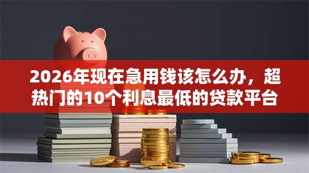 2026年现在急用钱该怎么办,超热门的10个利息最低的贷款平台推荐 2026年现在急用钱该怎么办,超热门的10个利息最低的贷款平台推荐