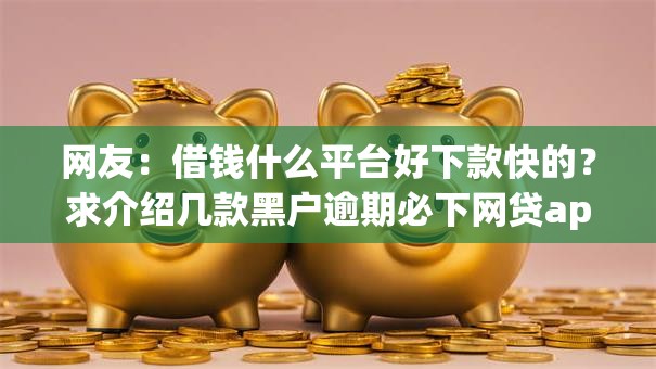 网友：借钱什么平台好下款快的？求介绍几款黑户逾期必下网贷app名单