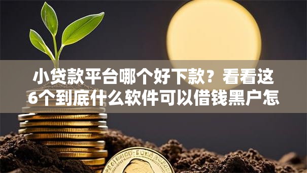 小贷款平台哪个好下款？看看这6个到底什么软件可以借钱黑户怎么样