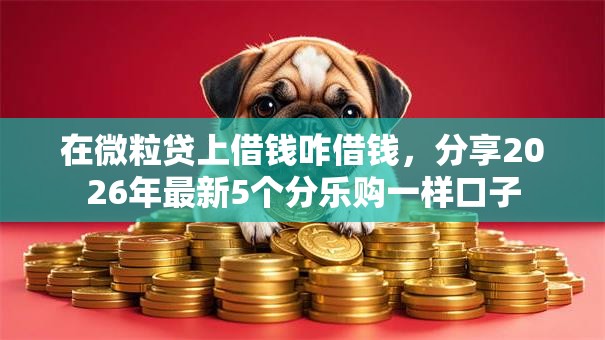 在微粒贷上借钱咋借钱，分享2026年最新5个分乐购一样口子