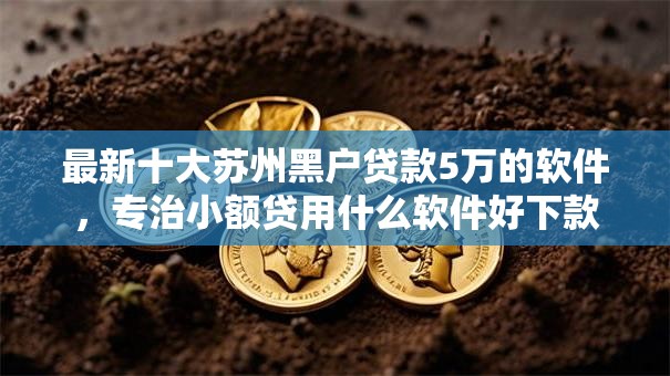 最新十大苏州黑户贷款5万的软件，专治小额贷用什么软件好下款