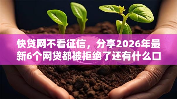 快贷网不看征信,分享2026年最新6个网贷都被拒绝了还有什么口子 快贷网不看征信,分享2026年最新6个网贷都被拒绝了还有什么口子