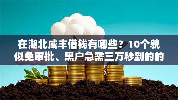 在湖北咸丰借钱有哪些？10个貌似免审批、黑户急需三万秒到的的口子合集
