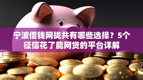 宁波借钱网拢共有哪些选择？5个征信花了能网贷的平台详解