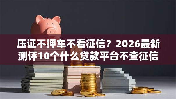 压证不押车不看征信？2026最新测评10个什么贷款平台不查征信