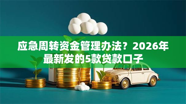 应急周转资金管理办法？2026年最新发的5款贷款口子