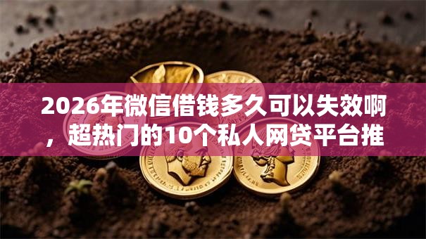 2026年微信借钱多久可以失效啊，超热门的10个私人网贷平台推荐