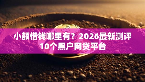 小额借钱哪里有？2026最新测评10个黑户网贷平台
