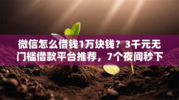 微信怎么借钱1万块钱？3千元无门槛借款平台推荐，7个夜间秒下款的14天口子盘点
