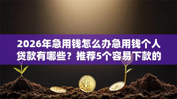 2026年急用钱怎么办急用钱个人贷款有哪些？推荐5个容易下款的平台