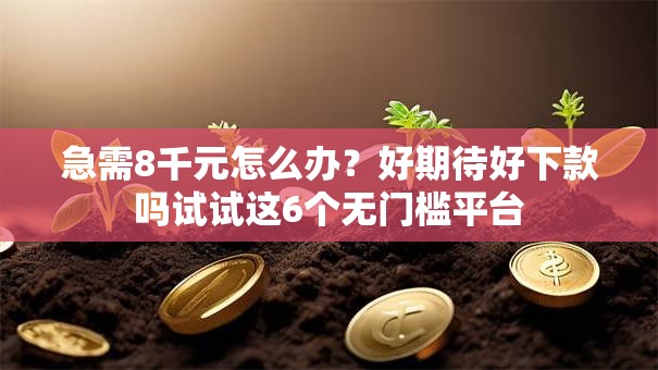 急需8千元怎么办？好期待好下款吗试试这6个无门槛平台