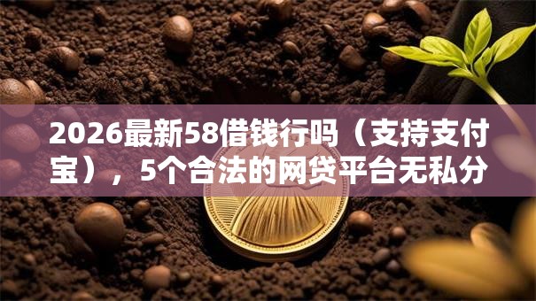 2026最新58借钱行吗（支持支付宝），5个合法的网贷平台无私分享